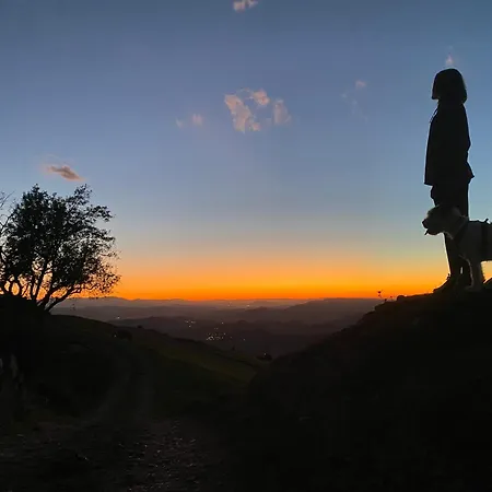 Holiday home La Casina Del Penayu