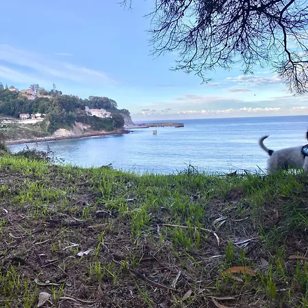 La Casina Del Penayu